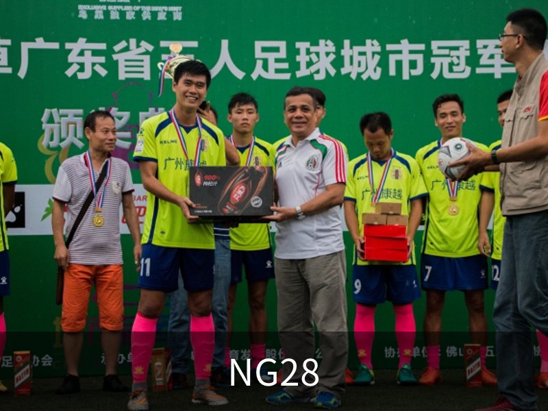 NG28简介